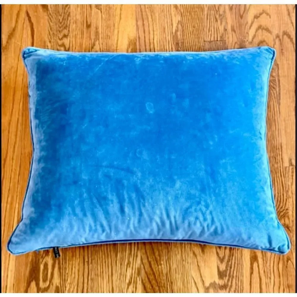 Rodeo Home Chevron Rectangular Pillow with feather insert.